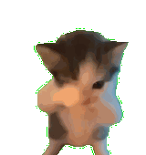 Cute Dancing Cat