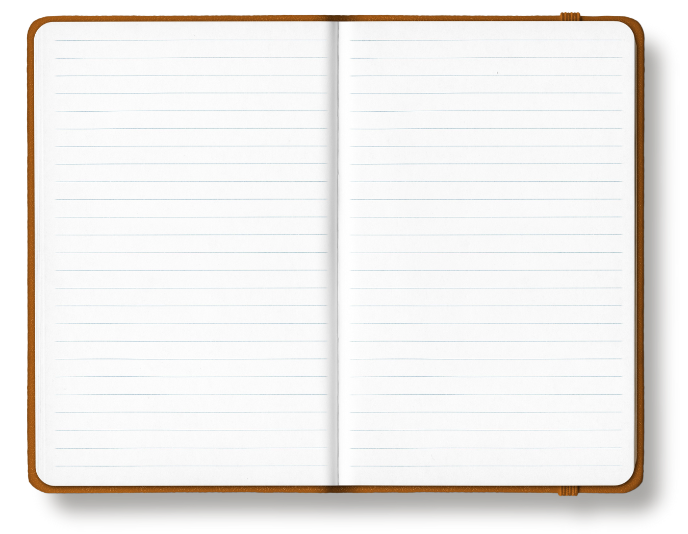 Aisha's Journal Notebook
